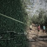 Imágenes: Upper Amazon Conservancy (UAC) / Composición