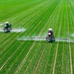 Imagen ilustrativa Costfoto / NurPhoto / Gettyimages.ru