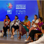 COP16: crisis de biodiversidad, negacionistas climáticos y extractivismos progresistas image-56-768×434