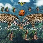 Foto: La Línea de Fuego