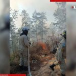 Más del 90 por ciento de los incendios forestales en Honduras son provocados por el ser humano, revelan estadísticas oficiales Foto. Tomada de X @BomberosHn / Archivo