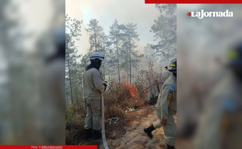 Más del 90 por ciento de los incendios forestales en Honduras son provocados por el ser humano, revelan estadísticas oficiales Foto. Tomada de X @BomberosHn / Archivo