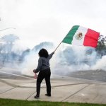 Una mujer ondea una bandera mexicana en medio del gas lacrimógeno lanzado por las fuerzas del orden durante una protesta en el barrio Paramount de Los Ángeles, el sábado 7 de junio de 2025, después de que las autoridades federales de inmigración realizaran operativos. Foto Ap