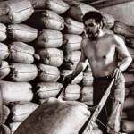 Ernesto Guevara. El Che, en trabajo voluntario