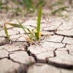 Imagen ilustrativa zhuda / Gettyimages.ru