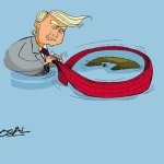 Fuentes: Movimiento Estatal de Solidaridad con Cuba (MESC)