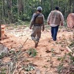 Informe de RAI alerta sobre la impunidad con la que operan organizaciones en la frontera de Perú y Bolivia