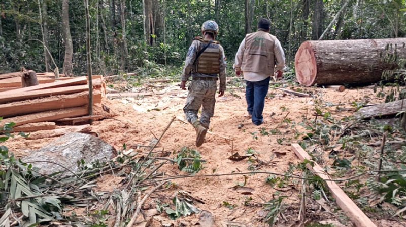 Informe de RAI alerta sobre la impunidad con la que operan organizaciones en la frontera de Perú y Bolivia