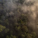 Fuente de la imagen: The Land.