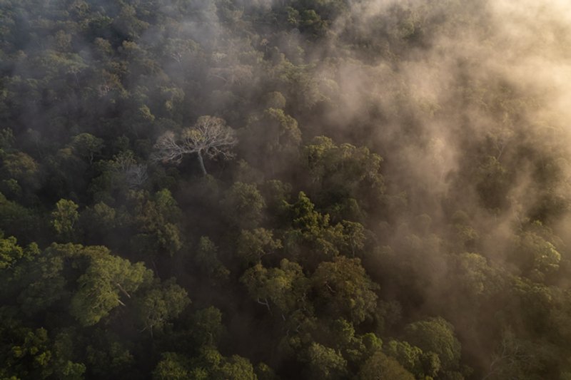 Fuente de la imagen: The Land.