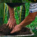 Conservación de suelos, una práctica posible