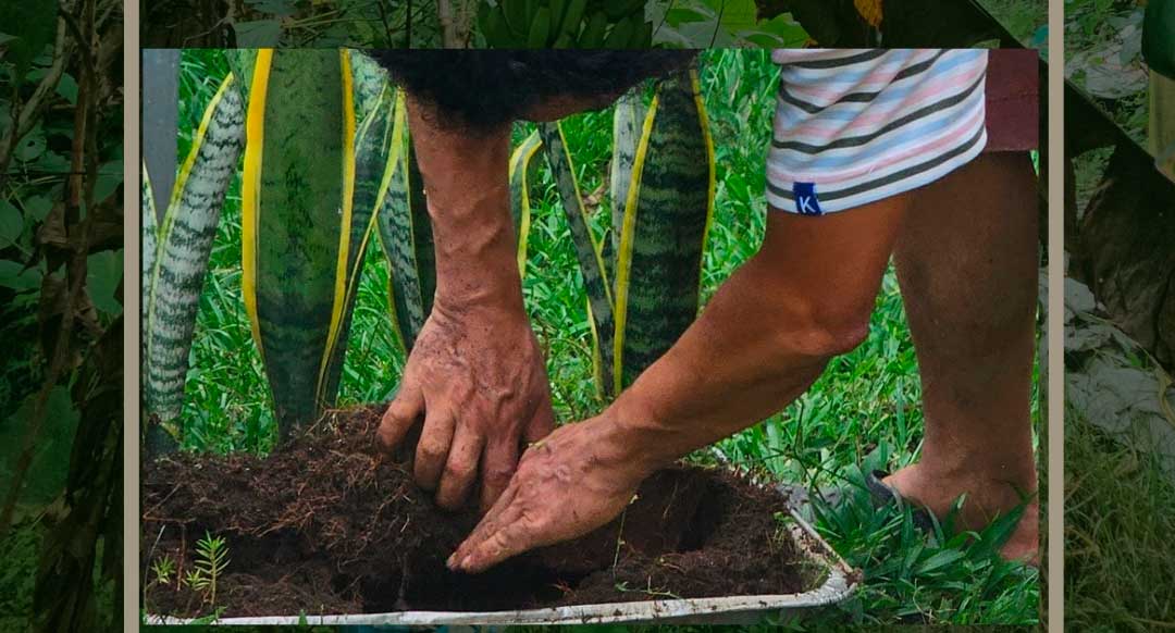Conservación de suelos, una práctica posible