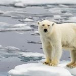 Fuentes: Climática [Foto: Alexandre Meneghini/REUTERS]