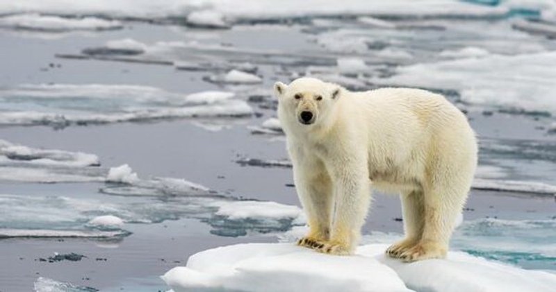 Fuentes: Climática [Foto: Alexandre Meneghini/REUTERS]