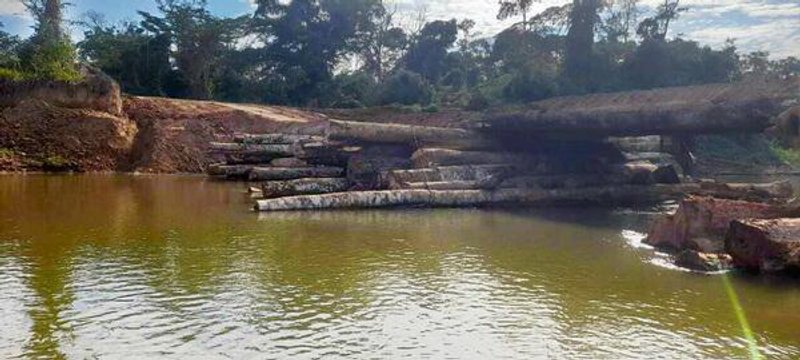 Fuentes: Survival [Imagen: un puente ilegal construido por Maderera Canales Tahuamanu (MCT), fotografiado el 18 de agosto de 2025 en territorio Mashco Piro para llevar excavadoras más adentro en la selva.]