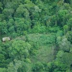 Políticos buscan negar la existencia de pueblos en aislamiento a pesar de múltiples estudios y evidencias registradas en la Amazonía Peruana. Foto: AIDESEP/Survival