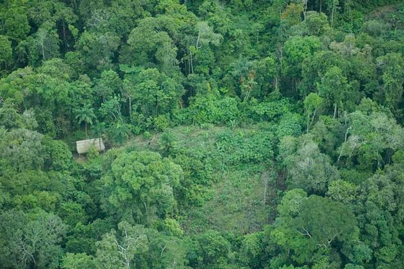 Políticos buscan negar la existencia de pueblos en aislamiento a pesar de múltiples estudios y evidencias registradas en la Amazonía Peruana. Foto: AIDESEP/Survival