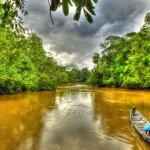Rio Tiputini en el Parque Nacional Yasuni. Foto: Andreas Kay
