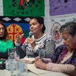 Fuente de la imagen: Tierra Viva.