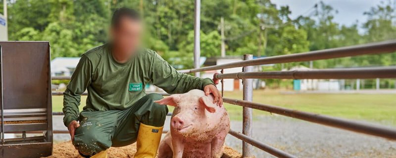 Foto principal: una imagen promocional de Pronaca publicada en el website de la empresa. Foto: Pronaca