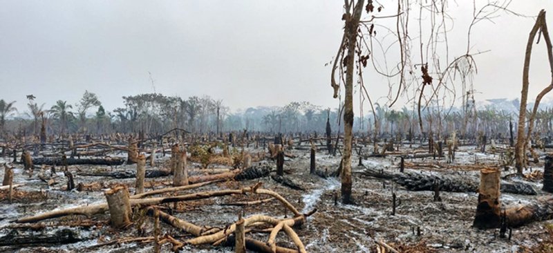 Área de deforestación; Municipio de San Ignacio de Velasco, Foto CIPCA Santa Cruz. Área de deforestación; Municipio de San Ignacio de Velasco, Foto CIPCA Santa Cruz.