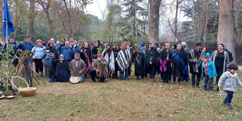 Fuente de la imagen: Plataforma Política Mapuche.