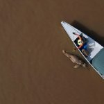 El monitoreo como resultado del estudio permitió la identificación de especies muertas por el incremento extremo de la temperatura del agua_Foto: Futuro Verde