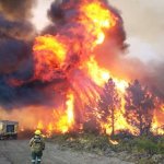 Fuente: www.elmercuriodigital.net