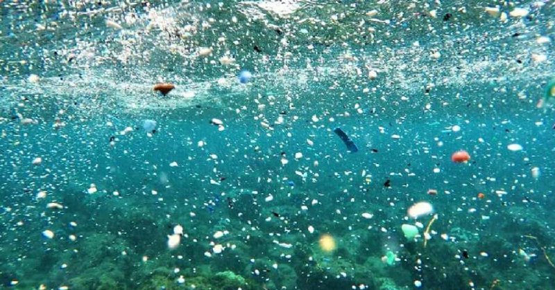 Estudios revelan que los microplásticos están hasta en territorios remotos