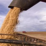 Fuentes: Ara [Imagen: Cosecha de soja en Brasil, achivo EFE]