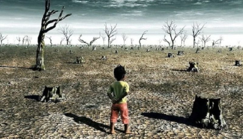 Fuentes: Huella del Sur