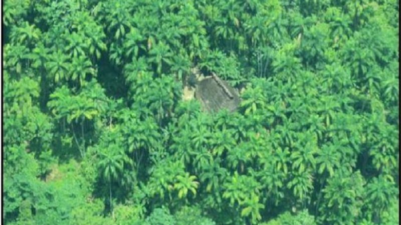 El único pueblo indígena en aislamiento voluntario identificado corre riesgo por economías ilegales_Foto: Cristóbal Von Rothkirch