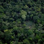 Pueblos indígenas en aislamiento (PIA) en Loreto. Foto: Orpio