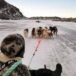 El musher Nukaaraq Lennert Olsen pasea con sus perros de trineo cerca de Sisimiut, Groenlandia, el 31 de enero de 2026. Foto: Afp