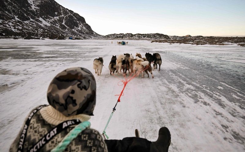 El musher Nukaaraq Lennert Olsen pasea con sus perros de trineo cerca de Sisimiut, Groenlandia, el 31 de enero de 2026. Foto: Afp