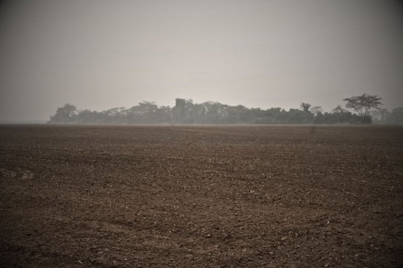 Norma se elaboró a espaldas de sectores afectados y abriría paso a nuevos latifundios. Foto: Revista Nómadas