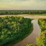 La Reserva Comunal Amarakaeri es una de las seis áreas naturales protegidas administradas por el Estado peruano. Foto: cortesía Reserva Comunal Amarakaeri.