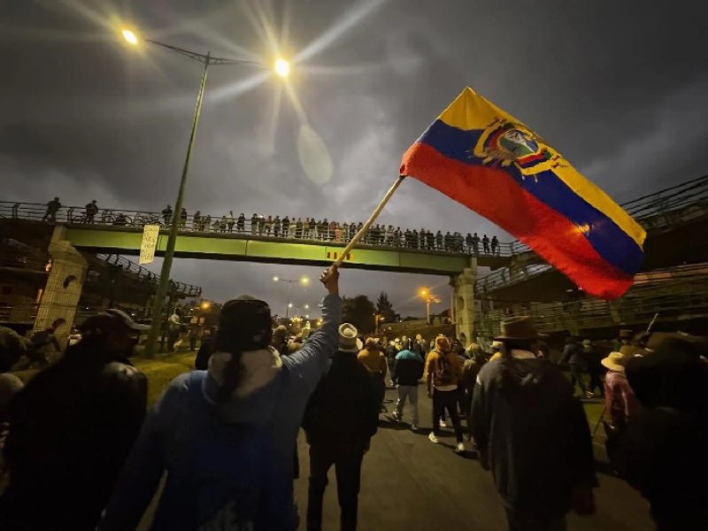 Foto referencial: Survival