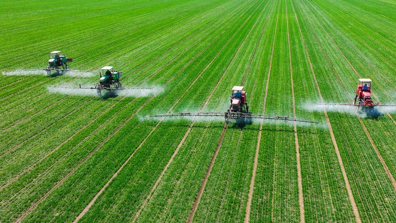 Imagen ilustrativa Costfoto / NurPhoto / Gettyimages.ru