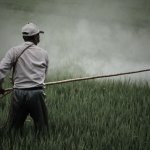 A pesar de algunas prohibiciones legales, uso de tóxicos continúa generando estragos en el ambiente y la salud de las personas. Foto: UNEP