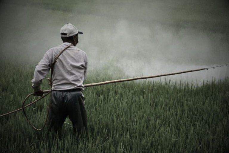 Alerta por zonas de sacrificio en México