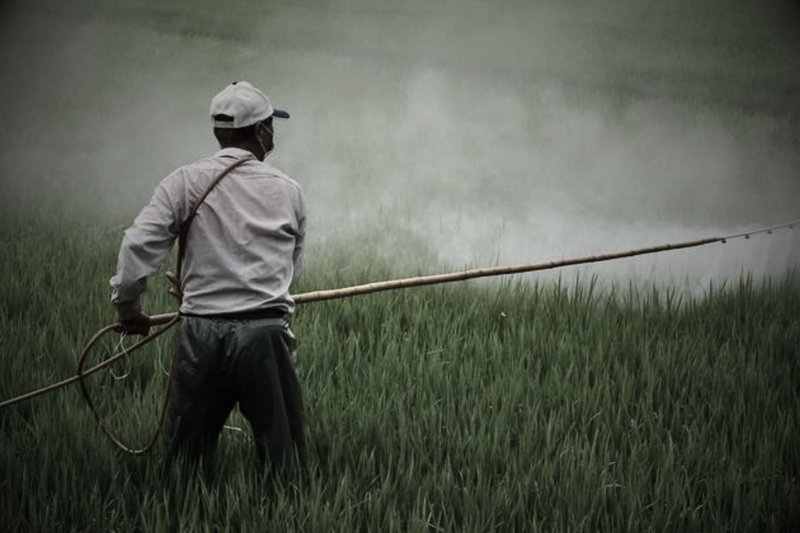 A pesar de algunas prohibiciones legales, uso de tóxicos continúa generando estragos en el ambiente y la salud de las personas. Foto: UNEP