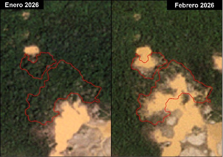Minería ilegal avanza en la Amazonía peruana