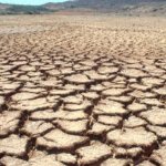 Fuentes: IPS [ Imagen: La tierra agrietada por la falta de agua y resecada por el calor del sol forma un patrón en la Reserva Natural de Popenguine, en Senegal. Evan Schneider / ONU ]