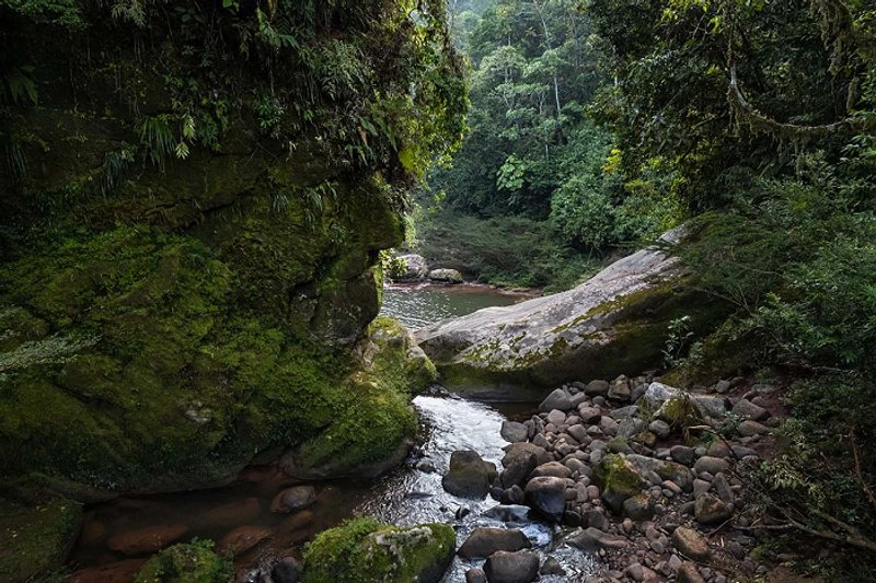 Proponen proyecto de ley para extraer gas de amazonía en zonas protegidas_Foto: Diego Perez para SPDA