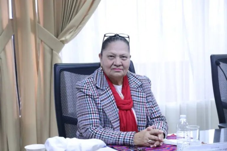 Consuelo Porras deberá esclarecer señalamientos ante la Comisión de Postulación