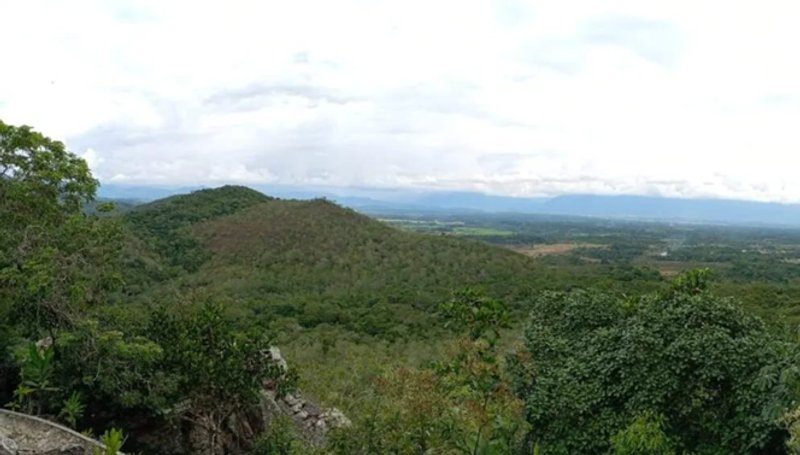 La demanda de minerales para tecnologías limpias conlleva un riesgo potencial para ecosistemas sensibles como la Amazonía. Crédito de la imagen: Cecilia Luque para SciDev.Net