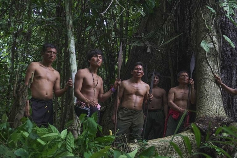 Amazonía asediada por economías ilícitas