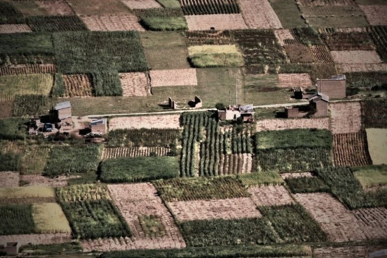 Exigen consulta por ley de conversión agraria