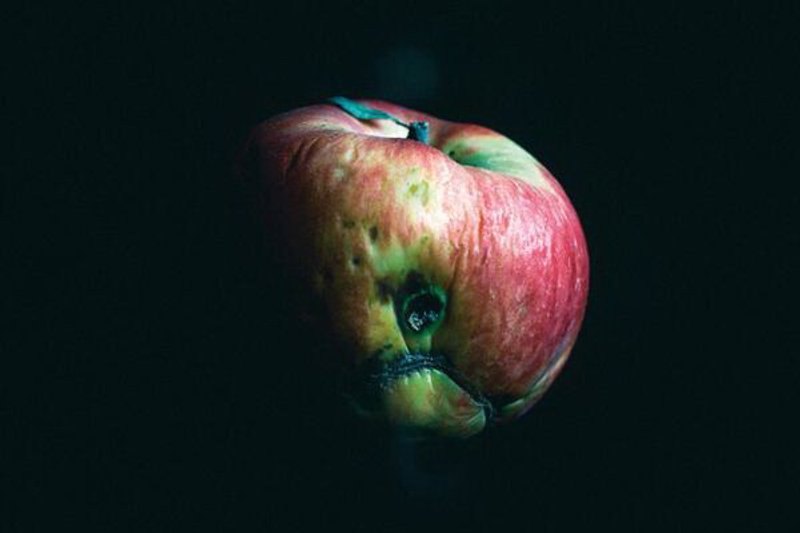 Fuentes: El salto [Imagen: Procedentes de la aldea de Orane, próxima a la zona de exclusión. Estos productos tienen isótopos radiactivos como cesio 137 y estroncio 90, que se depositan en el organismo de quien los consume. Raúl Moreno]